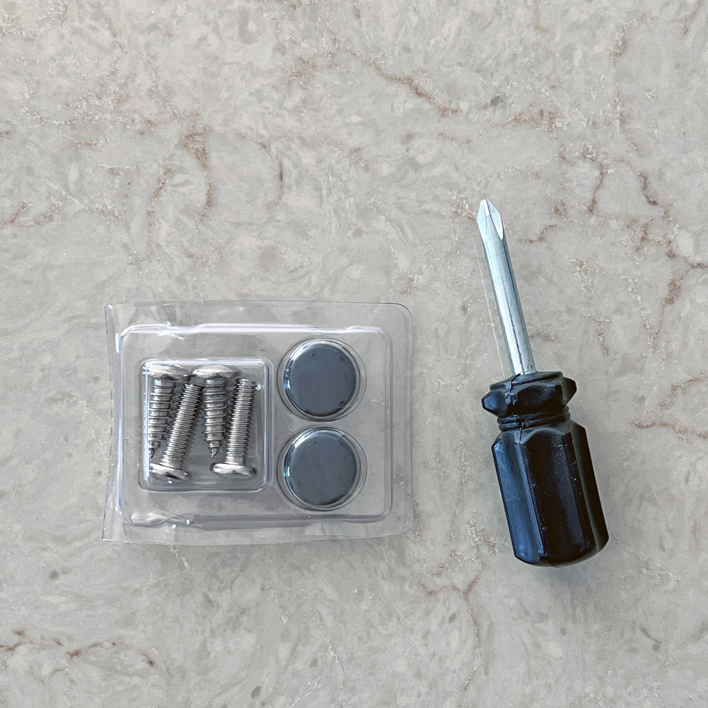 License Plate Frame | DID YOU DIE?