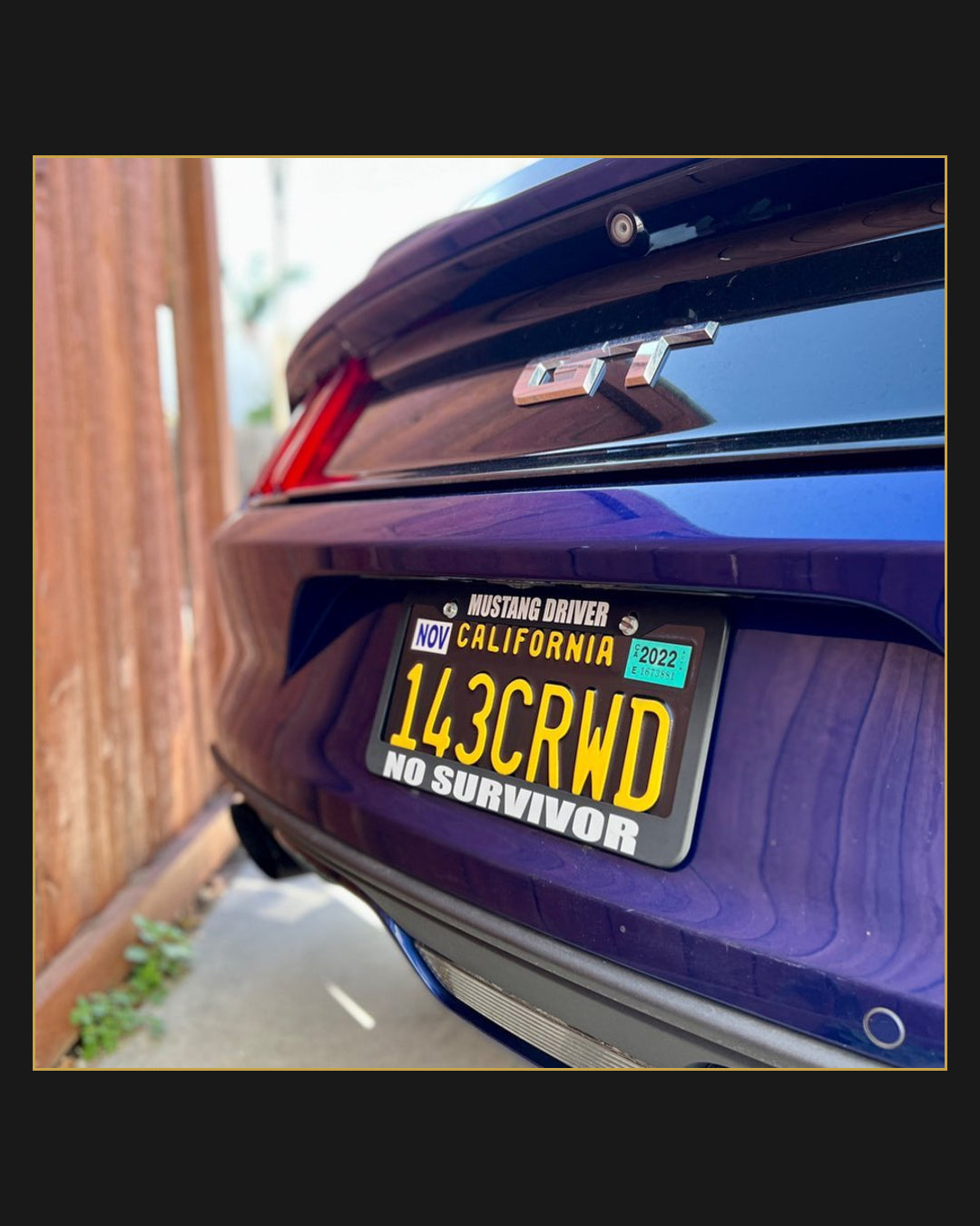 Mustang Driver, No Survivor license plate frame installed on a car