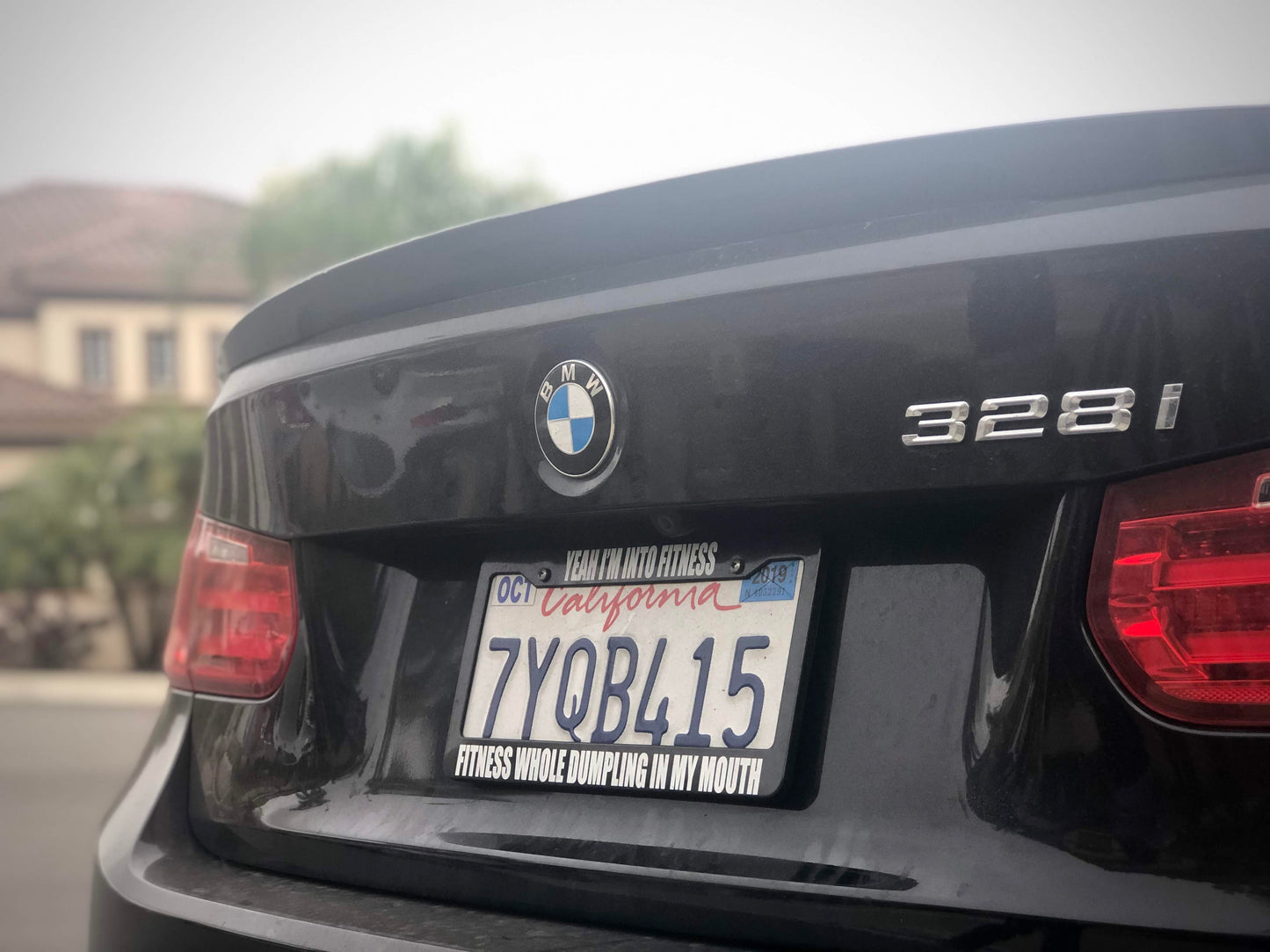 License Plate Frame | FITNESS DUMPLING